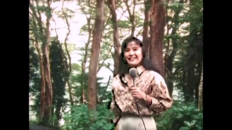西湘ぶらり紀行・ふるさとの美林を訪ねて（こんにちは神奈川）