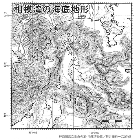 相模湾の海底地形